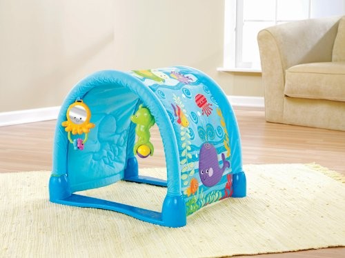 Fisher Price Ocean Wonders Kick And Crawl Gym Buy Online At The Nile