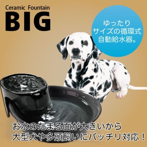 Pioneer pet 2024 big max