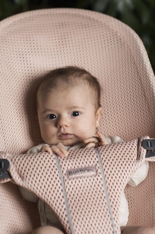 baby bjorn pink bouncer