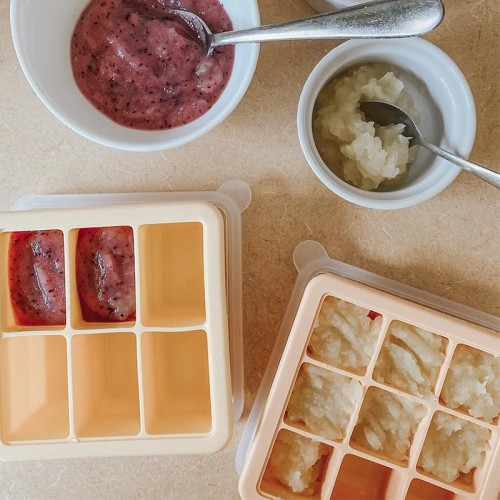 Baby Food and Breast Milk Freezer Tray - 6 Compartments