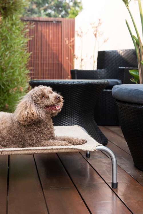 Jumbo hessian dog clearance bed