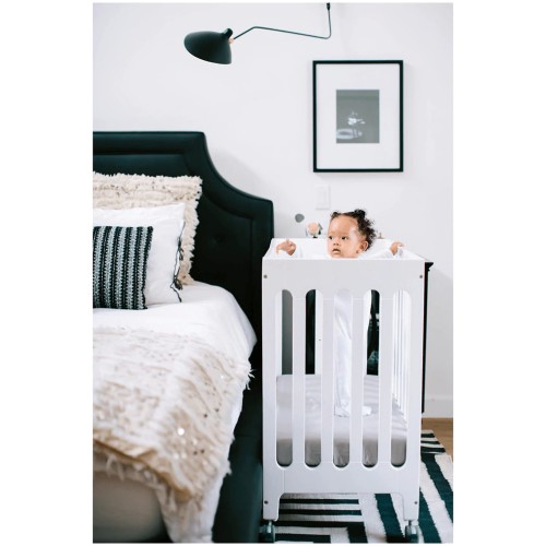 Bloom alma 2024 mini cot