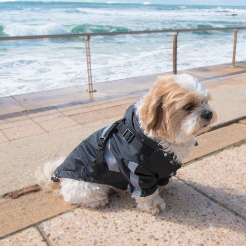 Xl hot sale dog raincoat