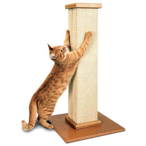 SmartCat Ultimate Heavy Duty Sisal Cat Scratch Post Buy online at The Nile